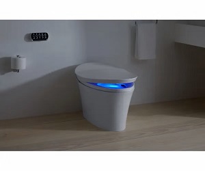 Kohler K-5401 smart toilet