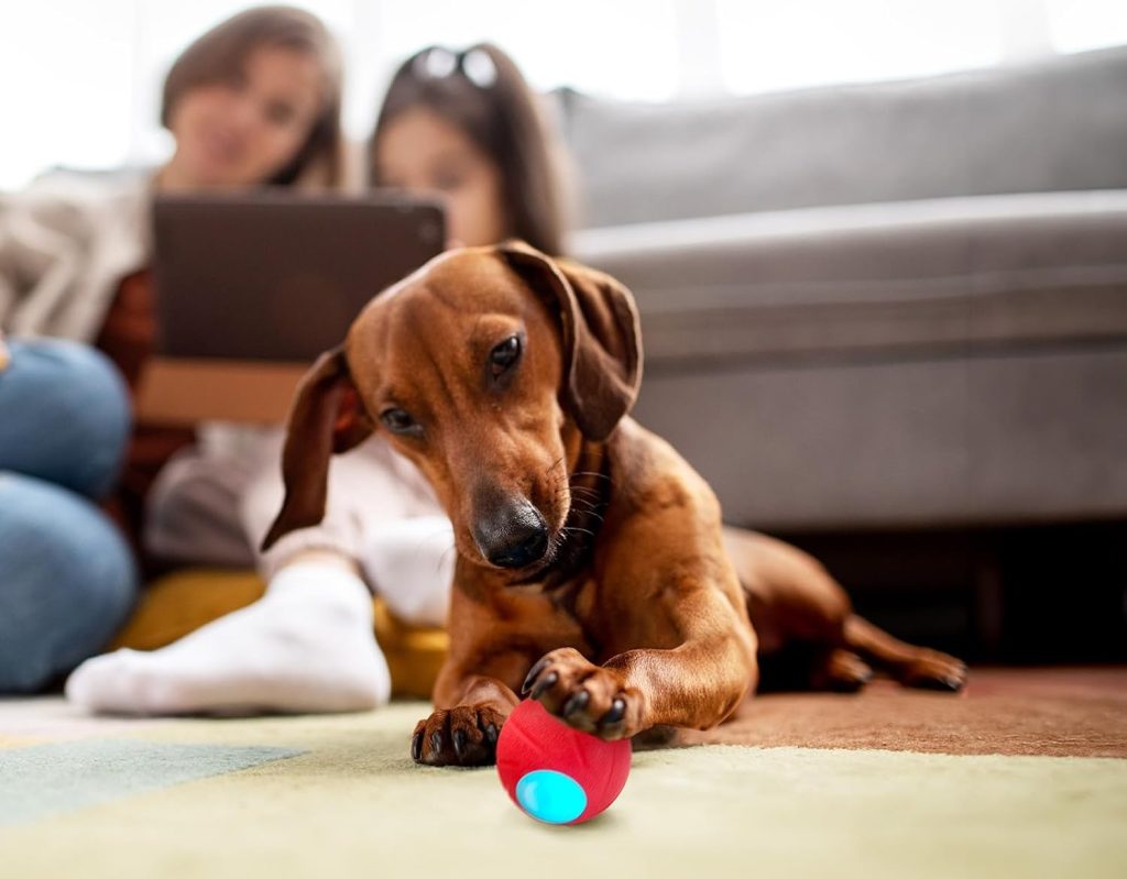 Cheerble Ball for dogs