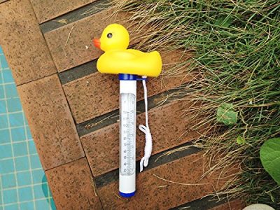 best wireless pool thermometer