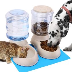 Pawzone Feeder And Water Dispenser